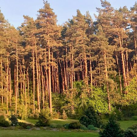 Apartament Przy Lesie Chojno-Blota Wielkie Esterno foto