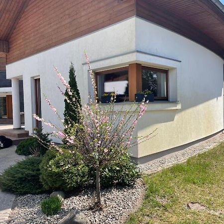 Apartament Przy Lesie Chojno-Blota Wielkie Esterno foto