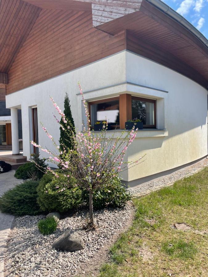 Apartament Przy Lesie Chojno-Blota Wielkie Esterno foto