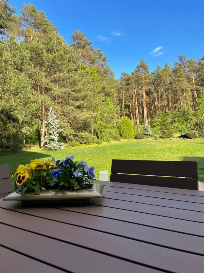 Apartament Przy Lesie Chojno-Blota Wielkie Esterno foto